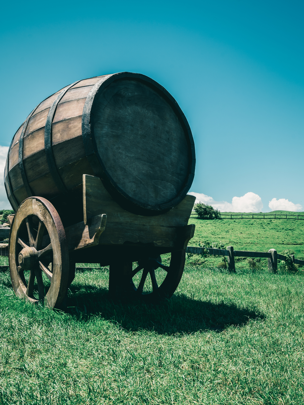 鄉野釀酒 葡萄酒桶、有機農業與酒精飲料的和諧圖景